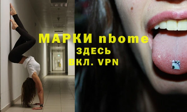 хмурый Алзамай