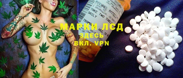 хмурый Алзамай