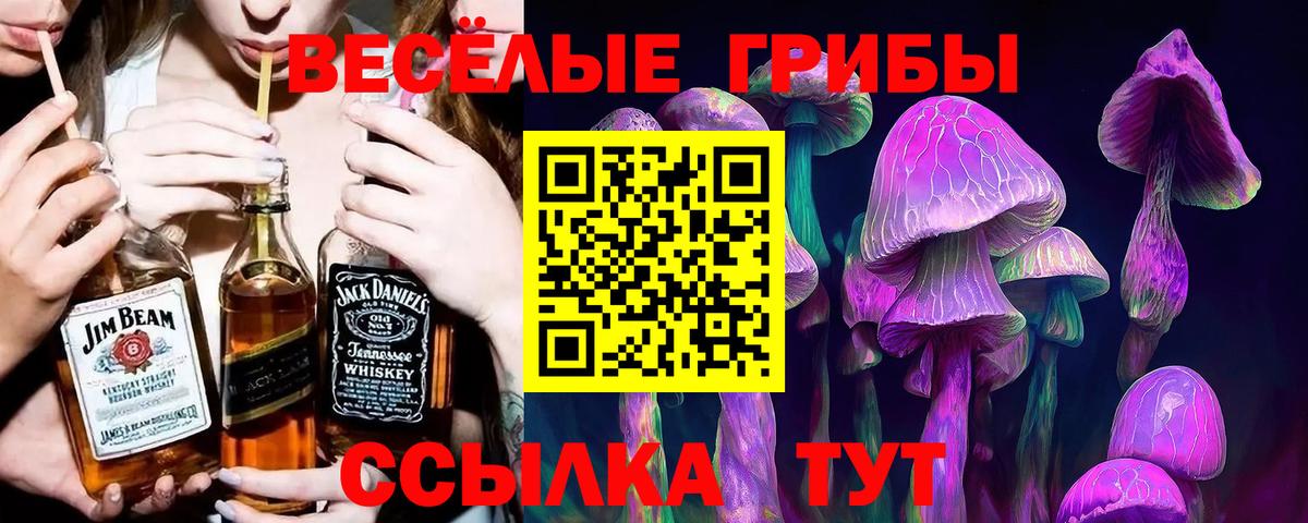 Псилоцибиновые грибы мицелий  Вход с VPN  Большой Камень 